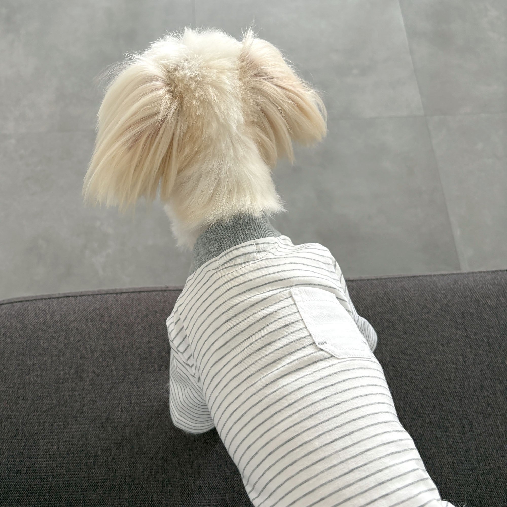 free stitch ミニボーダーTシャツ 犬服 綿100% シンプル 日本製｜いぬ